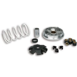 Variador Multivar Malossi PGT. LUDIX/JETFORCE SPEEDFIGHT/VIVACITY/BUXY 51 8752