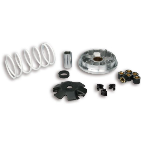 Variador Multivar Malossi PGT. LUDIX/JETFORCE SPEEDFIGHT/VIVACITY/BUXY 51 8752