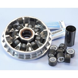 Variador Polini PIAGGIO GILERA 500 8RODIL. (241636)