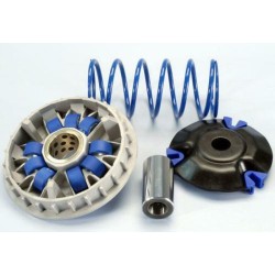 Variador Polini HONDA 125 PCX 9 RODILLOS (241697)