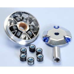 Variador Polini PEUGEOT 50 LUDIX-J.F.CAR. (241632)