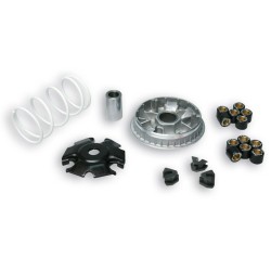Variador Multivar Malossi PIAG. X7/X8/X9 200-250 MP3 250-300 5111885