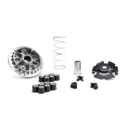 Variador MALOSSI Multivar 2000