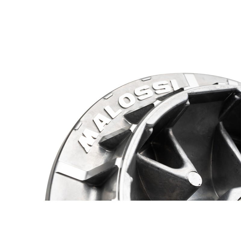 Variador MALOSSI Multivar 2000