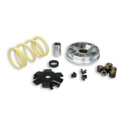 Variador MALOSSI Multivar