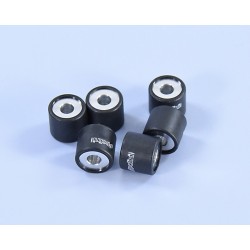 Rodillos de variador POLINI 19x17mm 8,4gr - 6 piezas