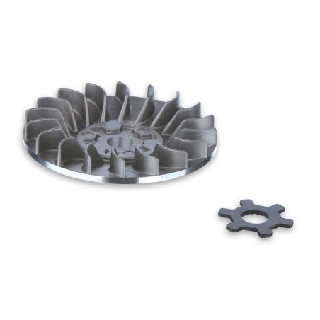 Semipolea fija MALOSSI