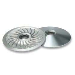 Semipolea fija MALOSSI