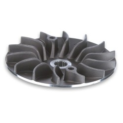 Semipolea fija MALOSSI