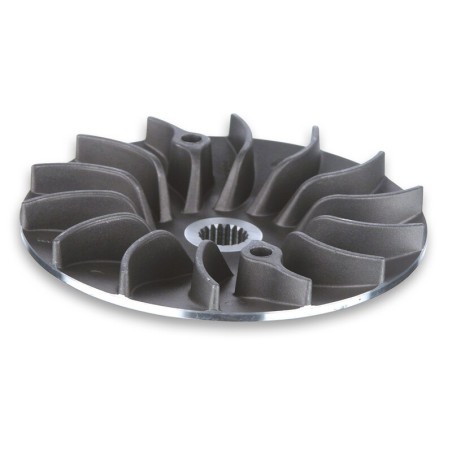 Semipolea fija MALOSSI