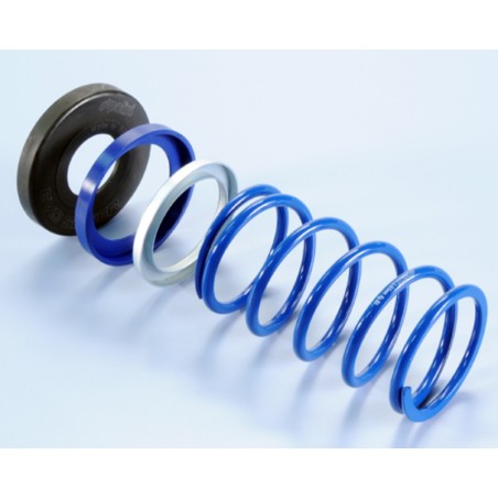 Muelle de contraste POLINI EVO-SLIDER TMAX500 (243099)