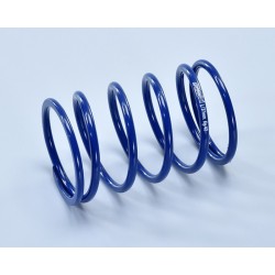 Muelle de contraste POLINI