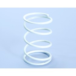 Muelle de contraste POLINI HONDA D.4,1 (243021)