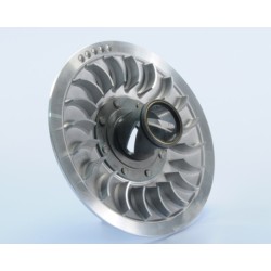 Polea Polini SECUNDARIA MOVIL T-MAX 530 (244581)