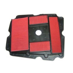 Filtro de aire HIFLOFILTRO - HFA1614 2