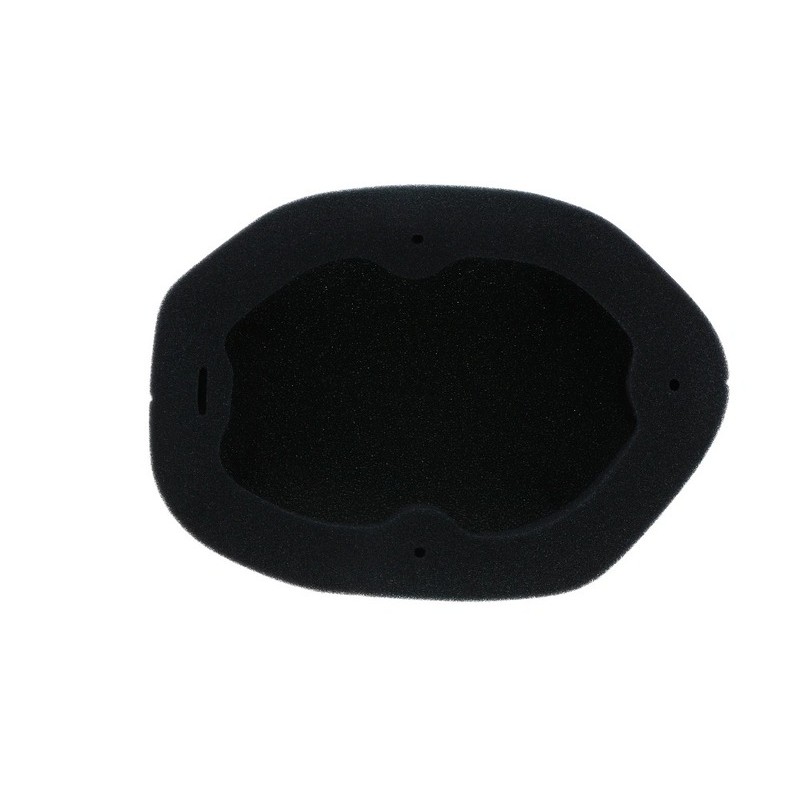 Filtro de aire ignífugo prelubricado TWIN AIR - 151129FRX