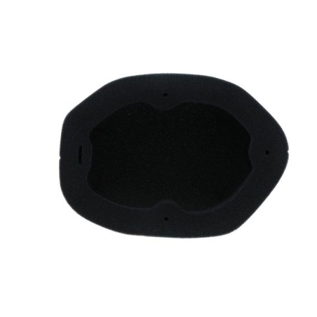 Filtro de aire ignífugo prelubricado TWIN AIR - 151129FRX