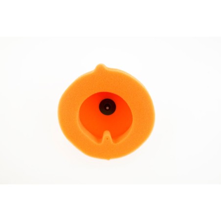 Filtro de aire TWIN AIR - 150215