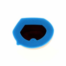 Filtro de aire TECNIUM - 5436 2