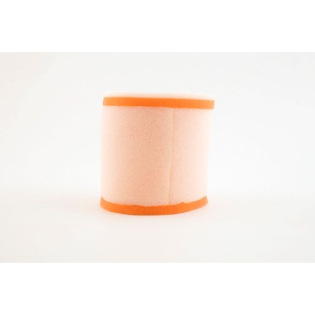 Filtro de aire TWIN AIR - 153910