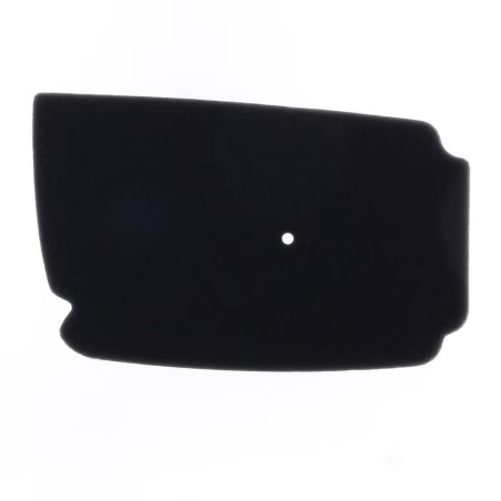 Filtro de aire ATHENA (Equivale a OEM 17205/GAV/700)