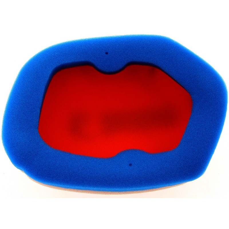 Filtro de aire TECNIUM 2 capas