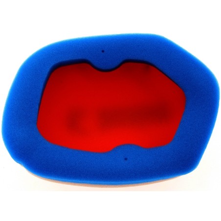 Filtro de aire TECNIUM 2 capas