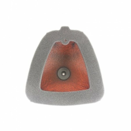 Filtro de aire ignífugo TWIN AIR - 152220FRBIG