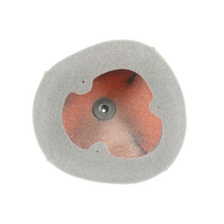 Filtro de aire Twin Air Kawasaki KX450 - 151125FR