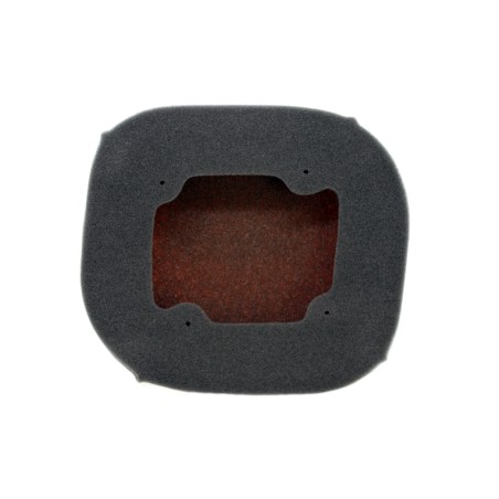Filtro de aire Twin Air KTM/Husqvarna - 154220FR
