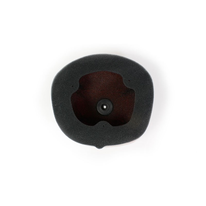 Filtro de aire Twin Air Honda CRF450/250R - 150222FR