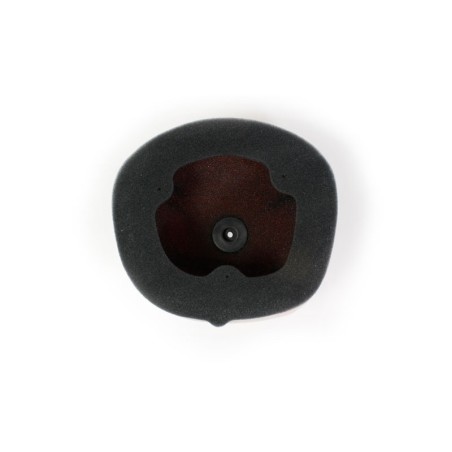 Filtro de aire Twin Air Honda CRF450/250R - 150222FR