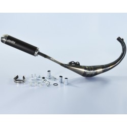 Escape completo POLINI Evolution - Minarelli AM6