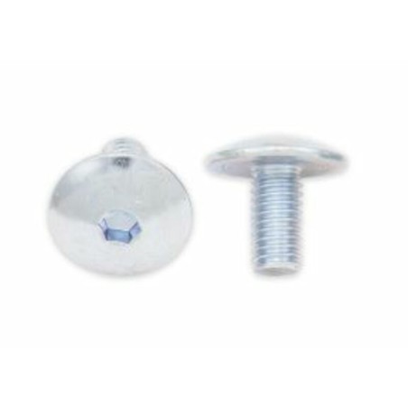 Tornillos cabeza redonda plana BOLT M6 x 1,00 x 12mm