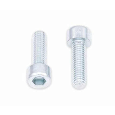 Tornillos BTR BOLT M6 x 1 x 20mm