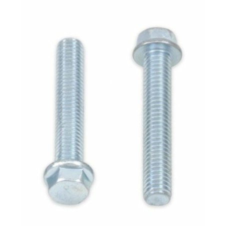 Tornillos con cabeza hexagonal de brida BOLT 8mm M6 x 1,00 x 35mm