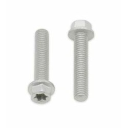 Tornillos con cabeza hexagonal/Torx BOLT M6 x 1,00 x 30mm