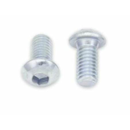Tornillos  cabeza redonda gruesa BOLT M6 x 1 x 12mm