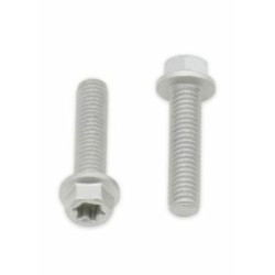 Tornillos con cabeza hexagonal/Torx BOLT M6 x 1,00 x 25mm