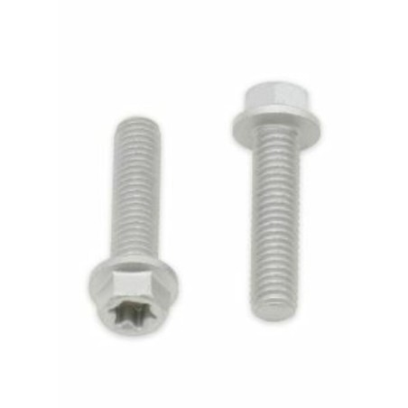 Tornillos con cabeza hexagonal/Torx BOLT M6 x 1,00 x 25mm