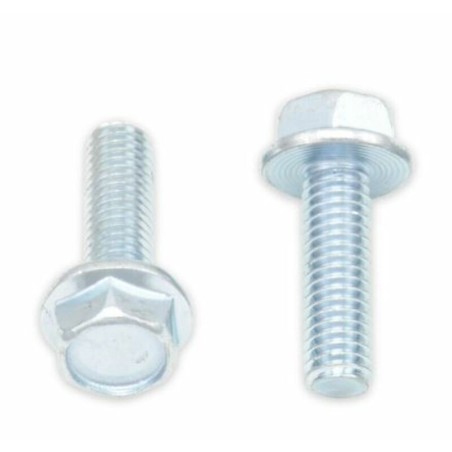 Tornillos con cabeza hexagonal de brida BOLT 10mm M6 x 1,00 x 20mm