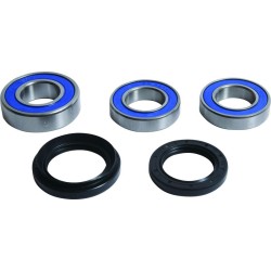 Kit de rodamientos y retenes columna de dirección ALL BALLS 2