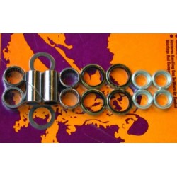 Kit de reparación de basculante PIVOT WORKS POUR KTM SX,MXC,EXC400 / 520 2000-02
