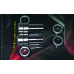 Kit de reparación de basculante PIVOT WORKS POUR KAWASAKI KX125 / 250 1994-95