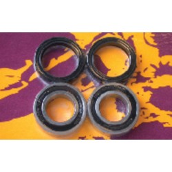 Kit de rodamientos y retenes de rueda delantera PIVOT WORKS