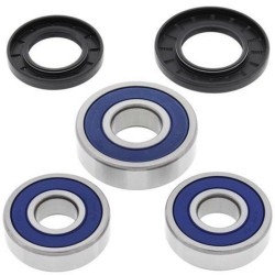 Kit rodamientos de rueda All Balls 25-1358