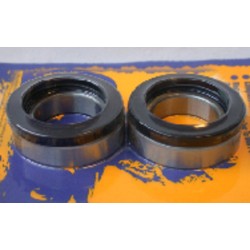 Kit de rodamientos y retenes de rueda trasera PIVOT WORKS