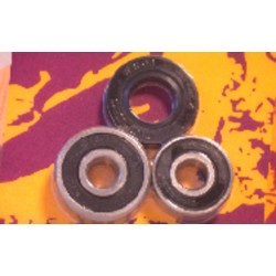 Kit de rodamientos y retenes de rueda trasera PIVOT WORKS