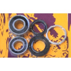 Kit de rodamientos y retenes de rueda trasera PIVOT WORKS