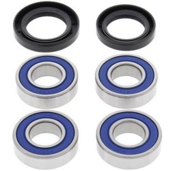 Kit rodamientos de rueda All Balls 25-1381